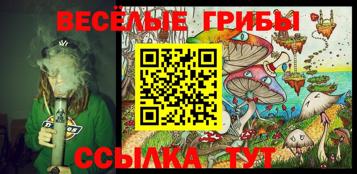Псилоцибиновые грибы Psilocybe Орск