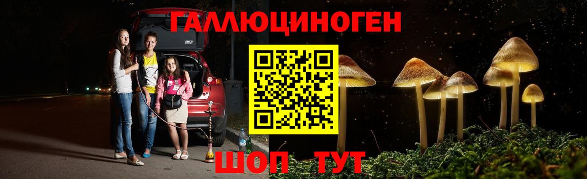 Орск  Галлюциногенные грибы Psilocybe  Вход с VPN 